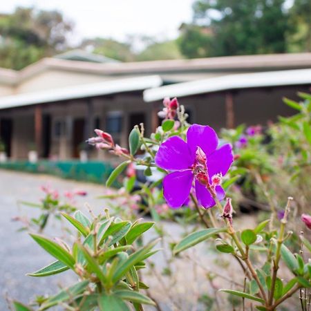 Natuera Hotel モンテベルデ エクステリア 写真
